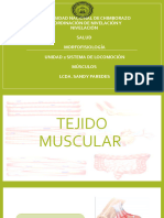 Tejido Muscular 1