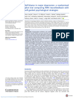 Self Blame in Major Depression A Randomised Pilot Trial Comparing Fmri Neurofeedback With Self Guided Psychological Strategies