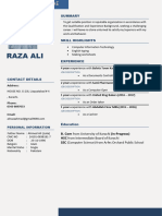 Raza Ali CV 2024