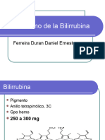 Metabolismo Bilirrubina