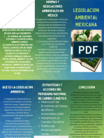 Tríptico Del Cuidado Ambiental Moderno Ilustrado Verde y Azul - 20240414 - 161745 - 0000