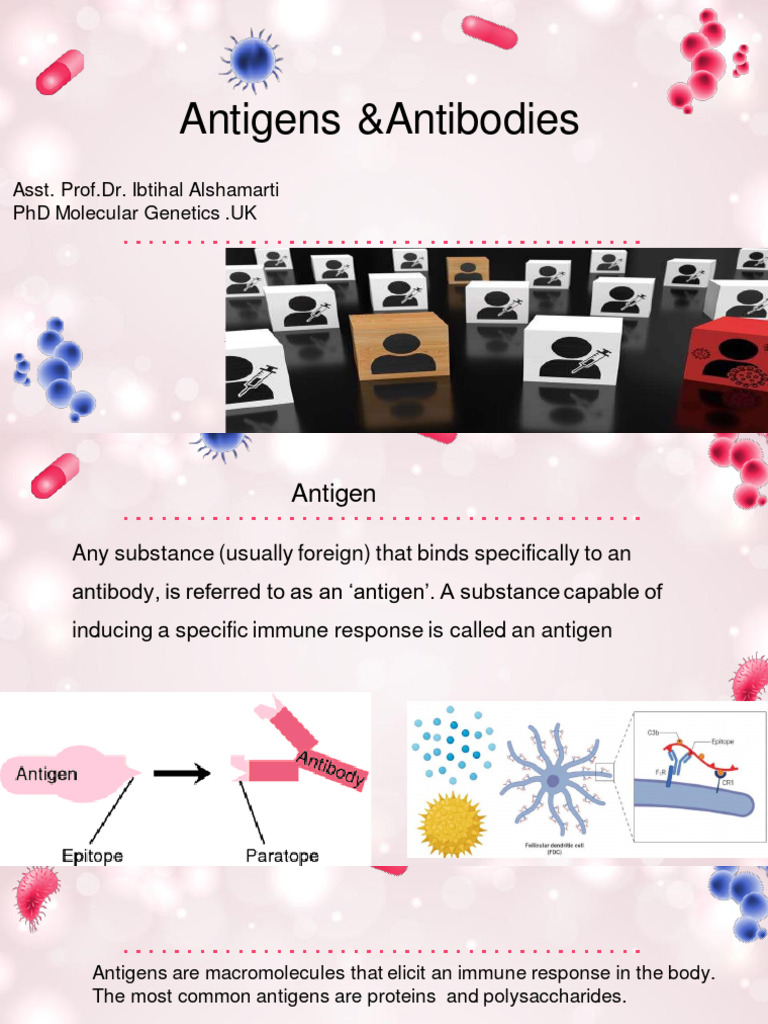 Microbiology II 2 (Antigens &antibodies) | PDF | Immunoglobulin G ...