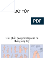 5.1 Mở Tủy 2