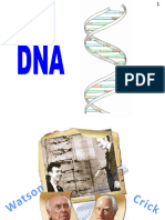 Module 1 Biochemistry of The DNA