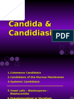 Mini Candida & Candidiasis הרצאה 11- 30.6