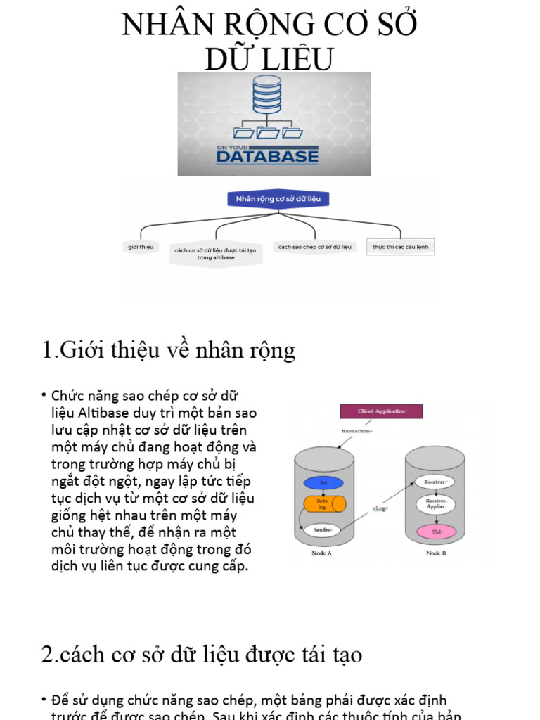 Nhân R NG Cơ S | PDF