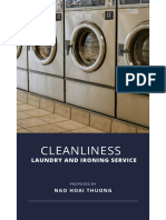 CLEANLINESS - Laundry and Ironing Service
