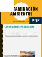 Contaminación Ambiental 2024