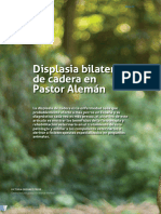 Dialnet DisplasiaBilateralDeCaderaEnPastorAleman 9093872