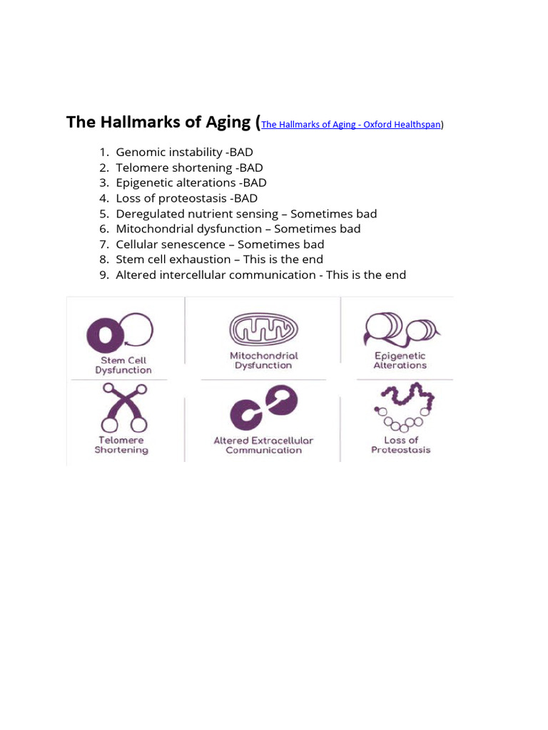 An Overview Of The Hallmarks Of Cognitive Aging – UJUS