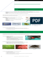 1º ESO - Biología y Geología - 3. Reino Protoctistas (Algas y Protozoos) ) 2