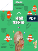 Mapa Nervio Trigémino
