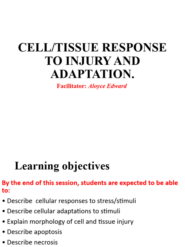 2.0 Cell Response To Injury &adaptations | PDF | Apoptosis | Necrosis