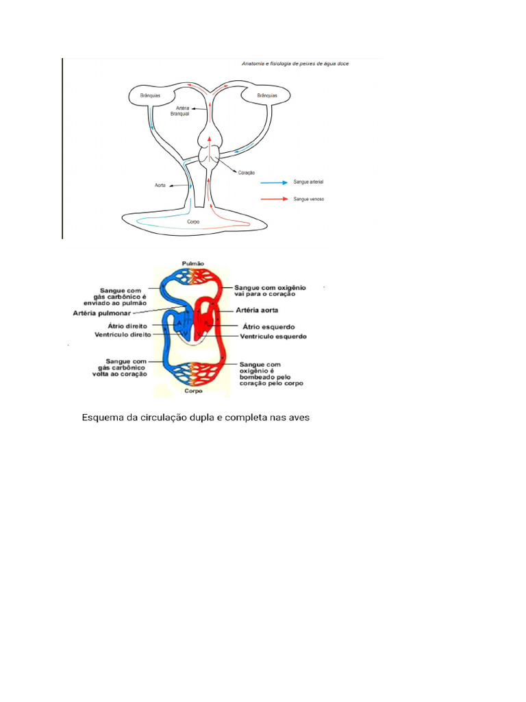 trabalho-de-biologia-imagens-pdf