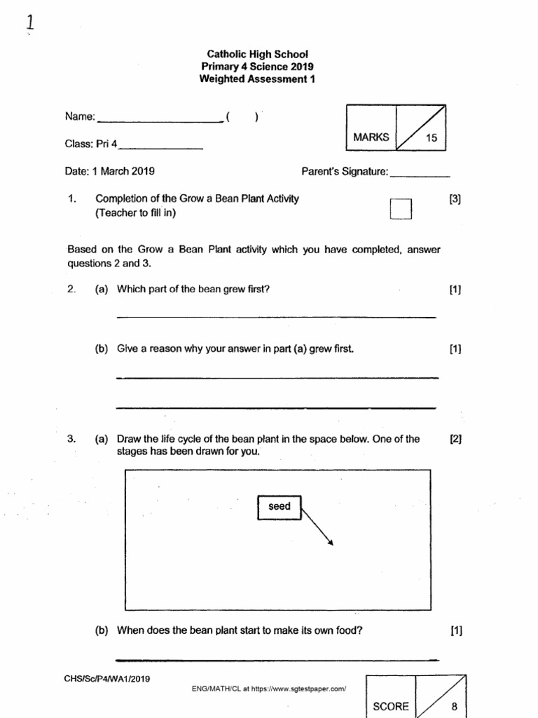 Free Primary School Test Papers | PDF
