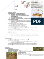 H33: Protostomen (2) : Phylum Annelida