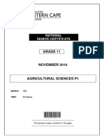 Grade 11: National Senior Certificate