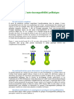 pollinisation cerisiers