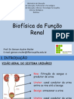 Aula 6 Biofísica Renal