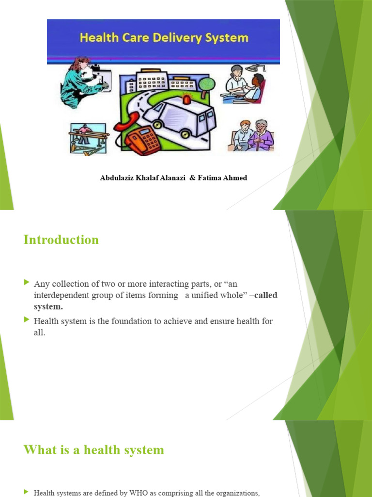 ch-3-health-care-delivery-system-pdf-health-system-health-care