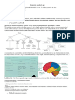 Intuíció És Prediktív Agy (03-12)