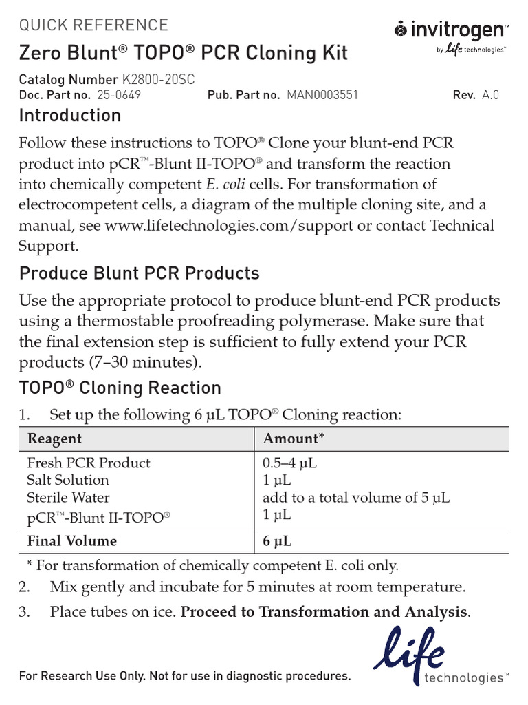 Zeroblunttopo QRC Man | PDF | Polymerase Chain Reaction | Molecular Cloning
