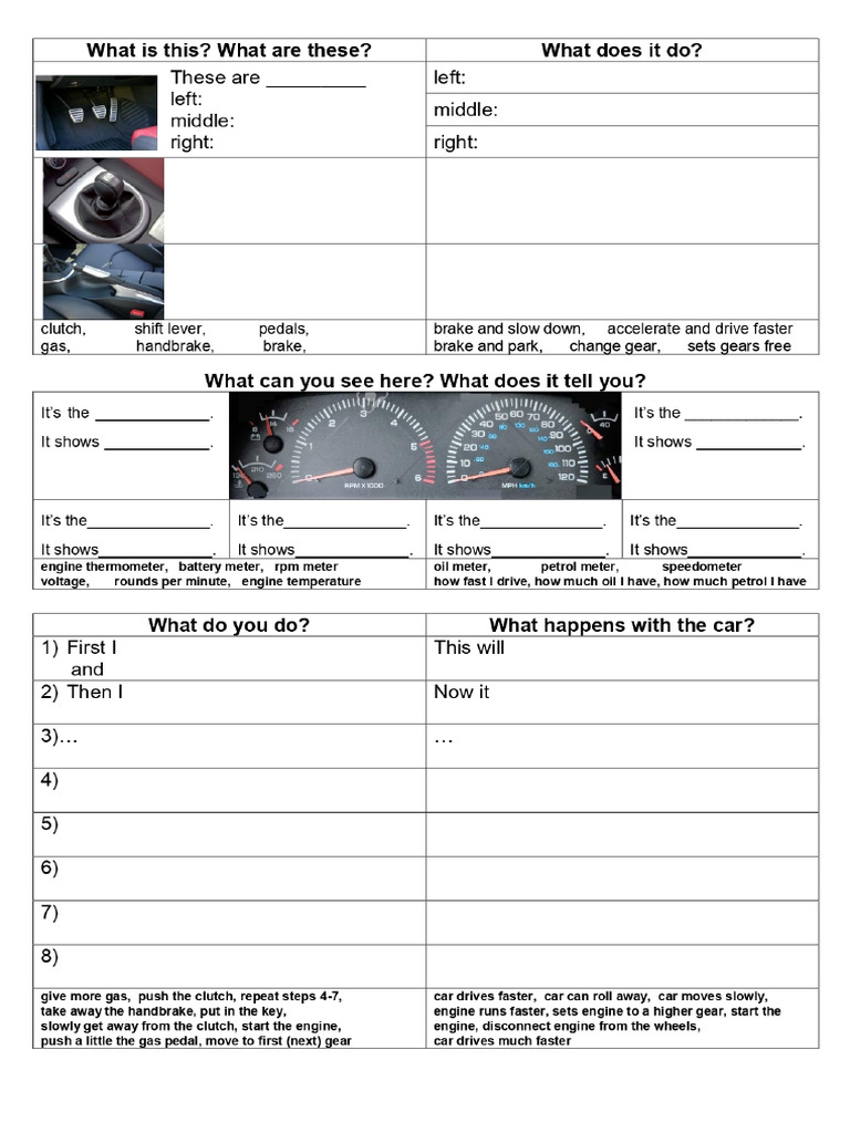 What Can You See Inside The Car? How Do You Use Them? PDF