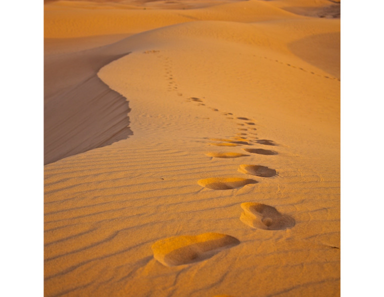 Desert | PDF