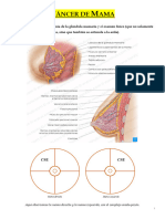 Cáncer de Mama