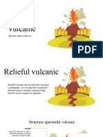 Relief Vulcanic