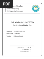 Lab 11 - Consolidation Test