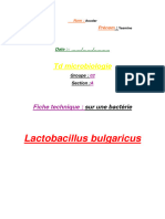 Lactobacillus Bulgaricus: TD Microbiologie
