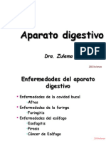Digestivo1