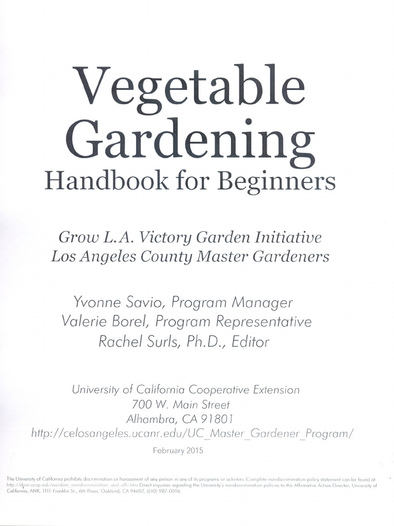 Vegetable visual data 5