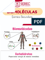 Biomoléculas 