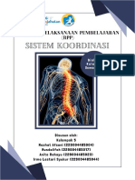 RPP Kelas XI - Sistem Koordinasi Kelompok 5 FIX