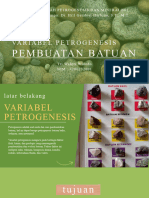 Tugas 1 PPT Makalah Mata Kuliah Petrogenesa Dan Mineralogi - Tri Wahyu Widodo (4200232001)