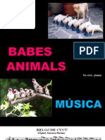Vdocuments - MX Babes-Animals