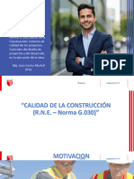 S3. Norma G.030 Proyecto, Desarrollo y Ejecución de La Obra