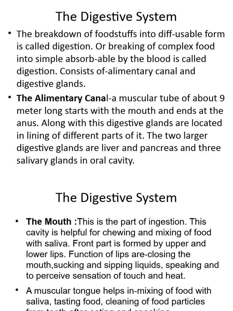 digestive-system-bio-pdf-human-digestive-system-small-intestine