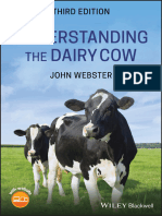 Understanding The Dairy Cow