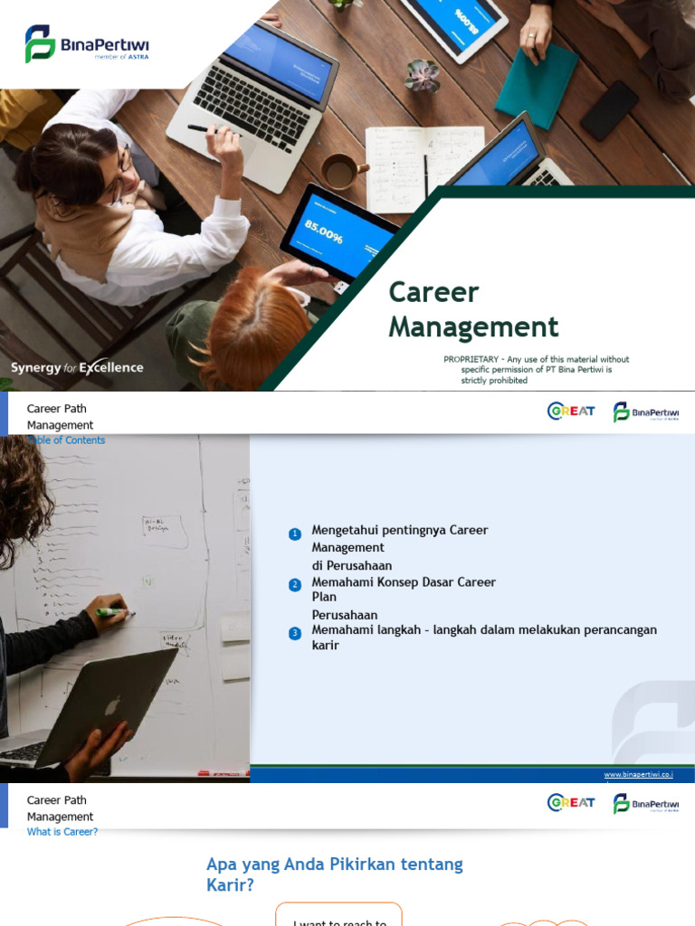 Effective Career Path Management Guide | PDF | Business ...