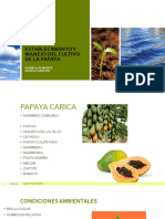 Establecimiento y Manejo Del Cultivo de La Papaya