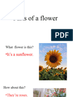 The Title Is Parts of A Flower - 152213