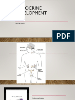 K1 Gangguan Embriologi Sistem Saraf & Endokrin