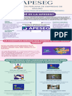 Infografía APESEG