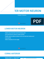 Lesi lower motor neuron (LMN)