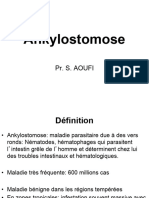 18) Ankylostomes Anguillule