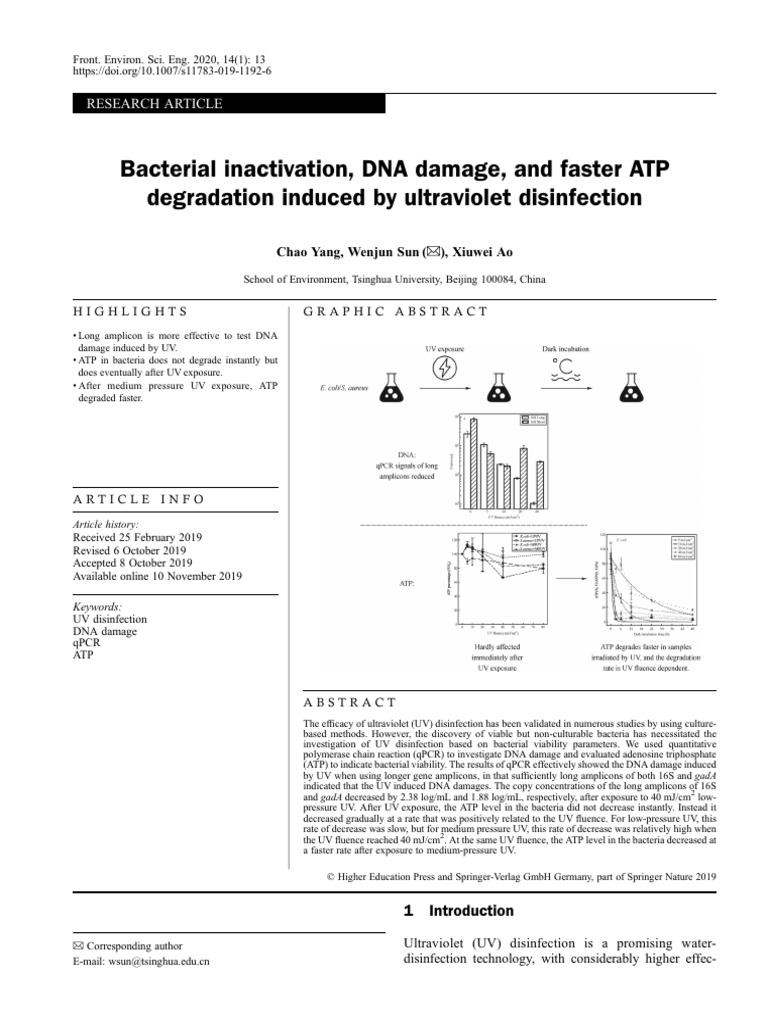 UV Disinfection: DNA Damage & ATP Loss | PDF | Ultraviolet | Real Time ...
