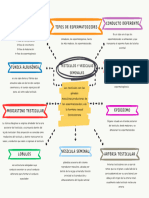 Organizador Grafico Conceptual Doodle Multicolor